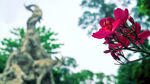 广州风光