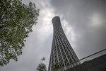 广州风光