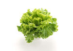 生菜
