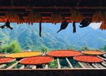 古镇婺源