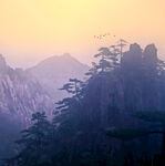 黄山风光