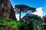 黄山风光