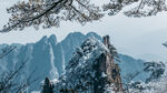 黄山风光
