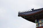 北京天坛