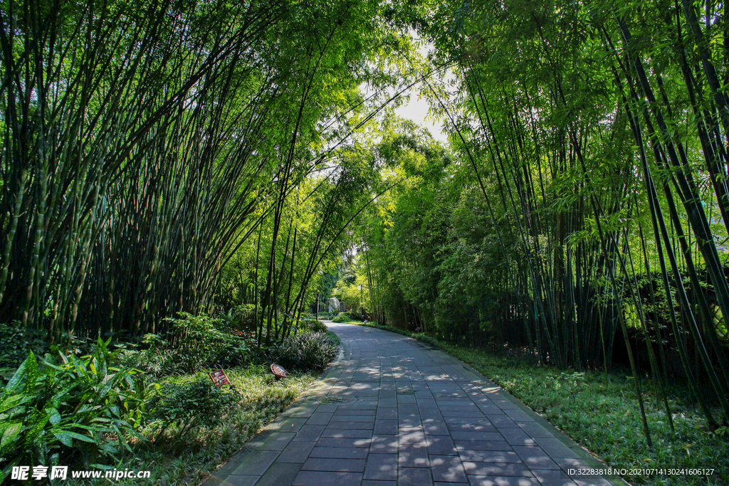 成都风光