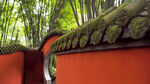 成都风光
