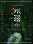寒露