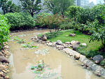河