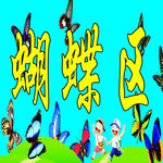 蝴蝶区