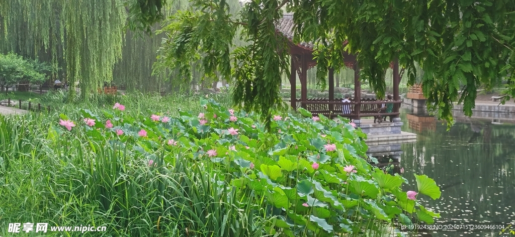 园林风景 