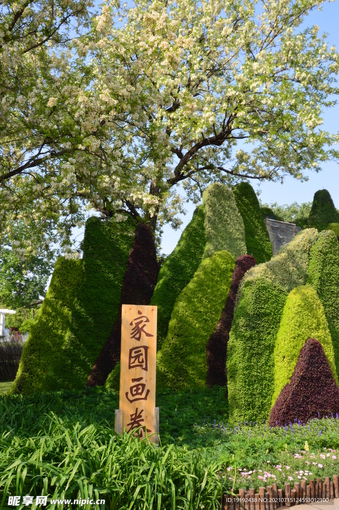 园林风景
