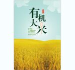 大米