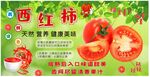 西红柿装饰