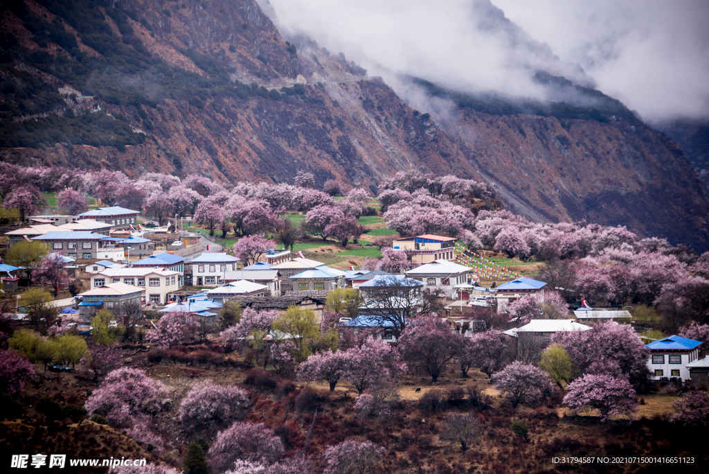 林芝