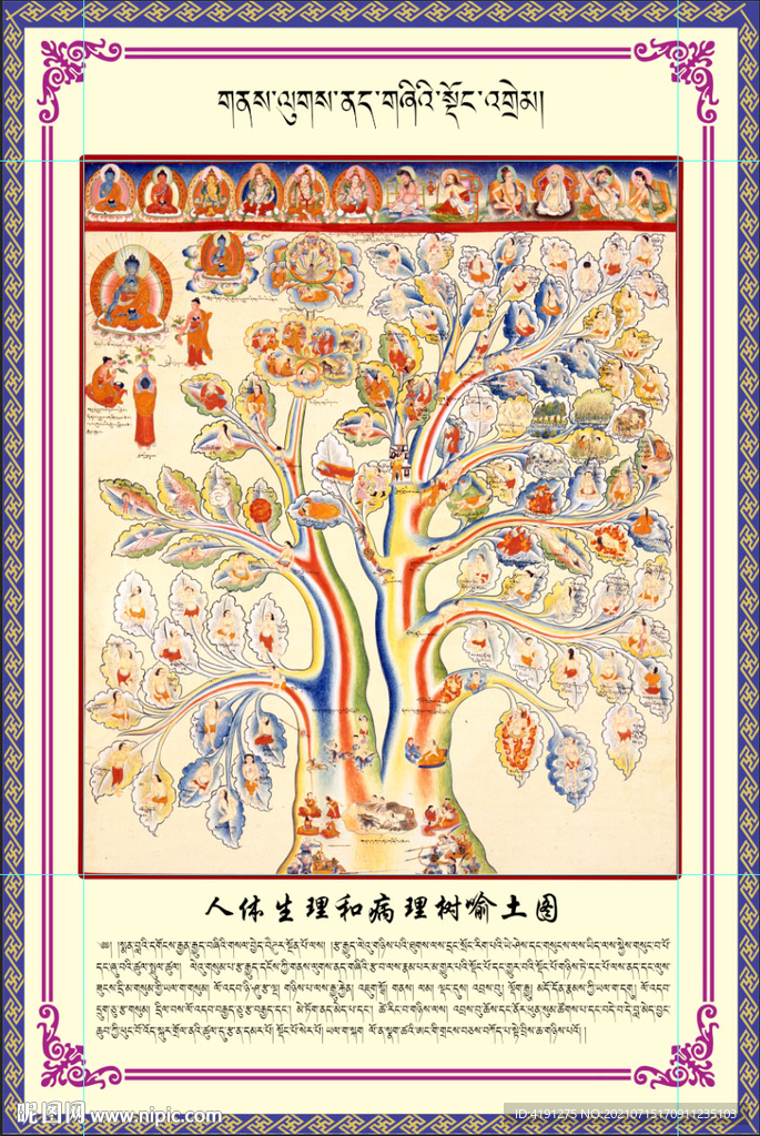 藏医生理与病理