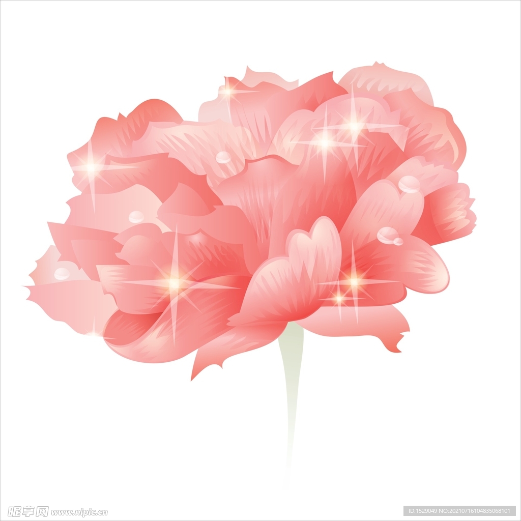 矢量花朵 