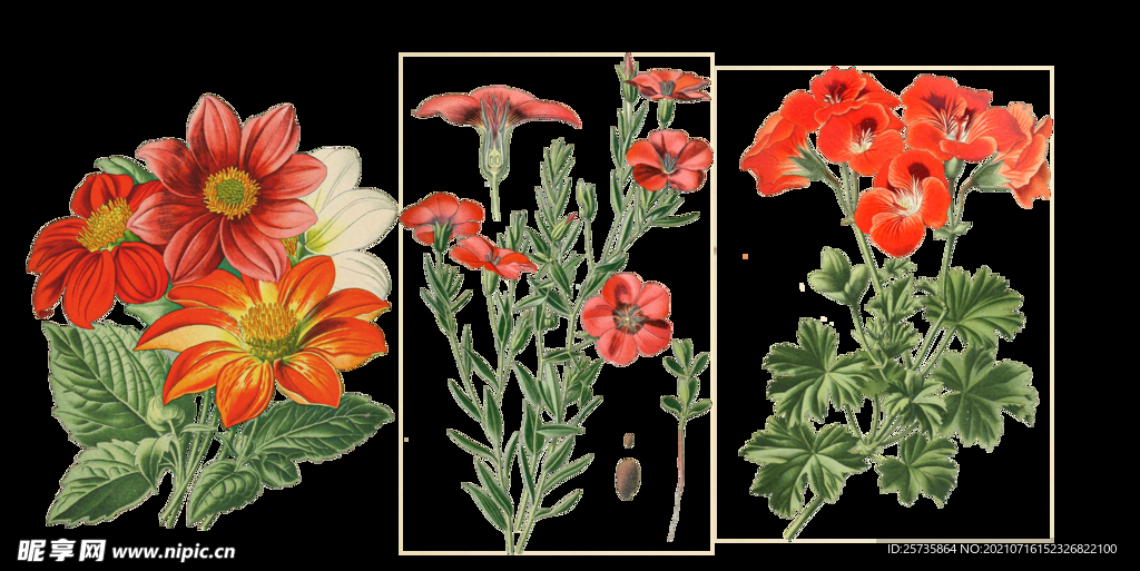 花