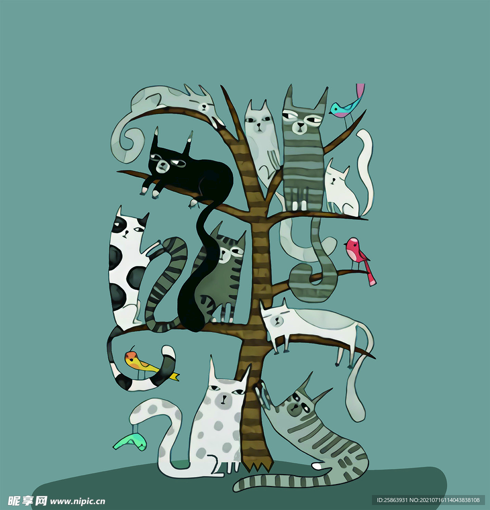 猫