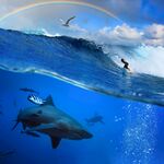 海浪巨浪