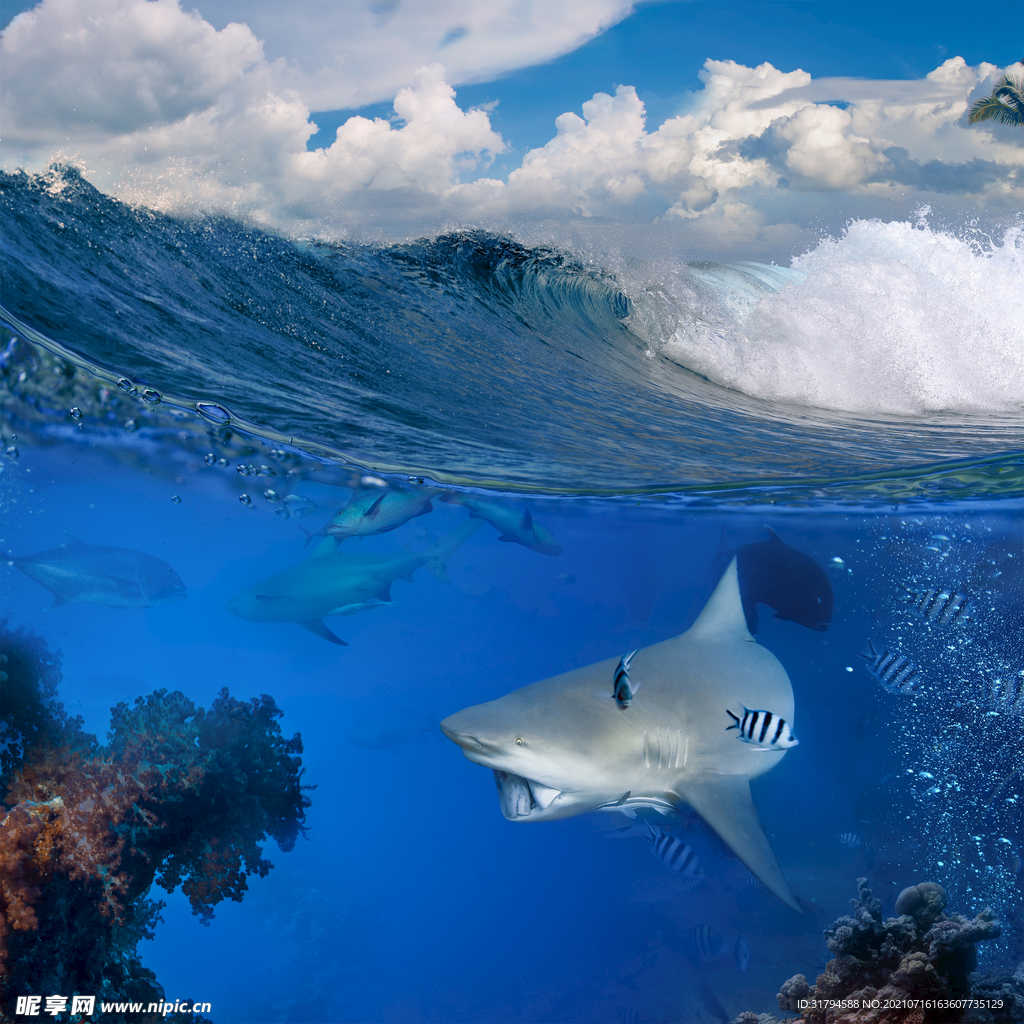 海浪巨浪