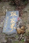 张家界