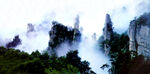 宽屏自然美景