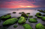 海岸风景