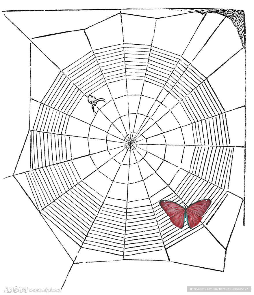 蜘蛛网 蝴蝶 趣味 T恤设计