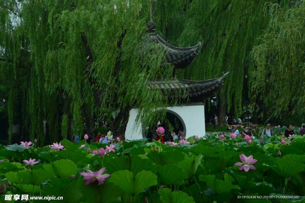陶然亭风景