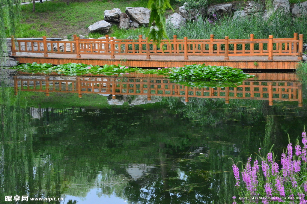 园林风景 