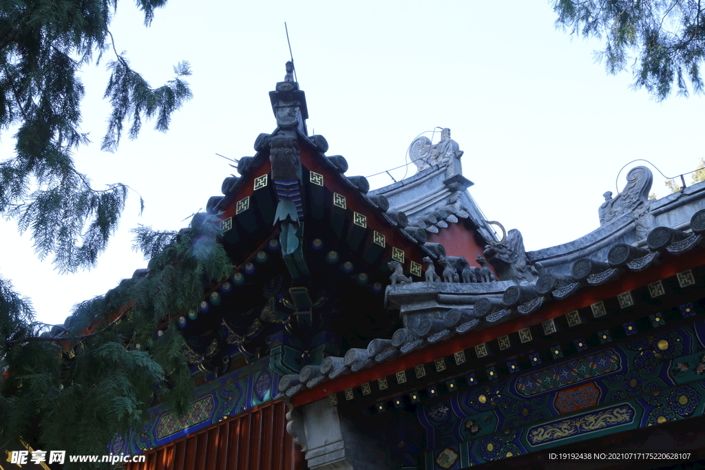 植物园风景