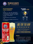 罗汉参全麦芽
