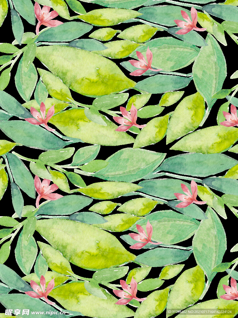 手绘花卉