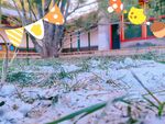 残雪