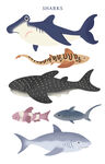 卡通海洋生物插画  