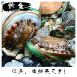 鲍鱼