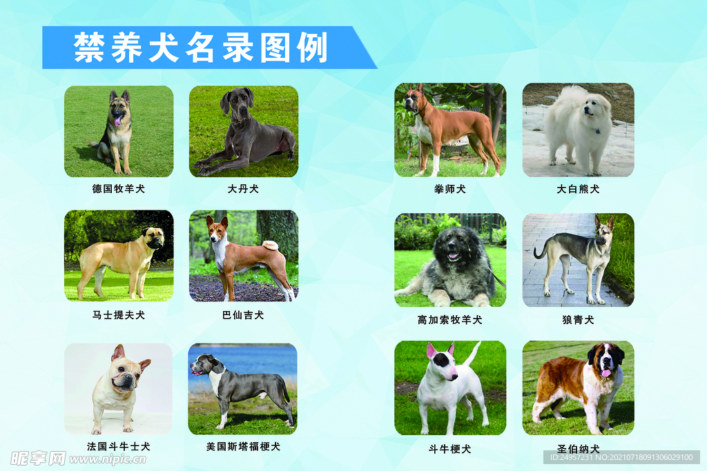禁养犬名录