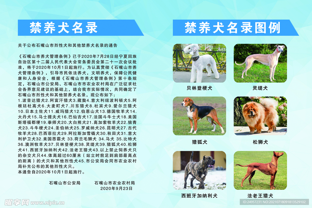 禁养犬名录