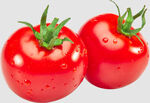 西红柿带水珠番茄素材