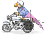 卡通 鹦鹉 摩托车 T恤设计