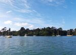 奥克兰海湾风景
