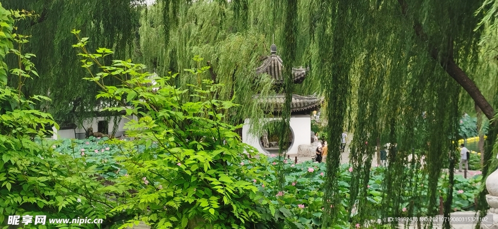园林风景 