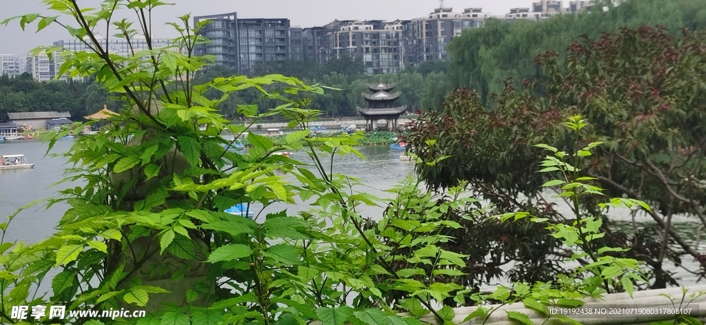 园林风景