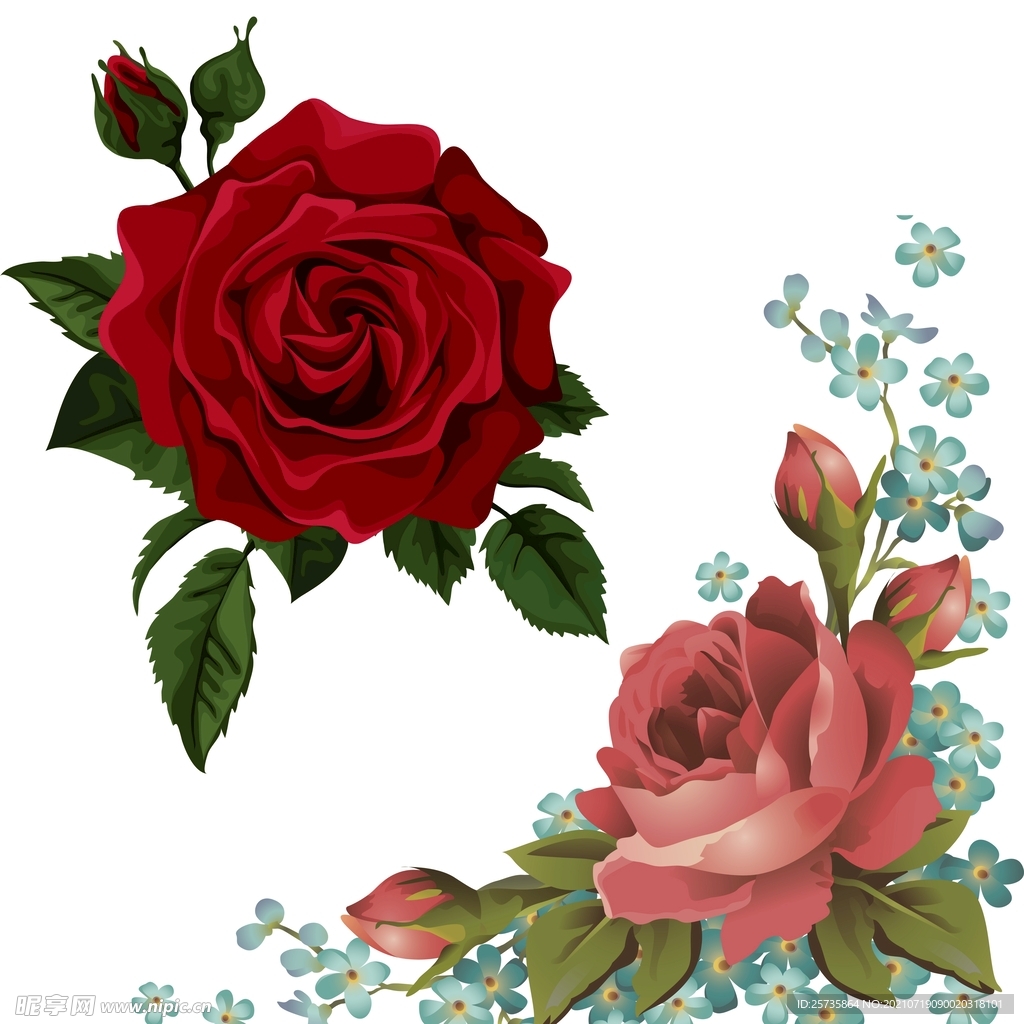 矢量花