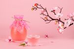 桃花酒