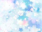 樱花 花朵 蓝色背景