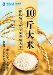 领大米宣传海报