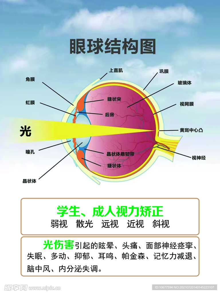 眼睛