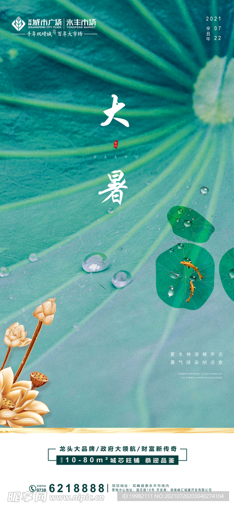 大暑海报