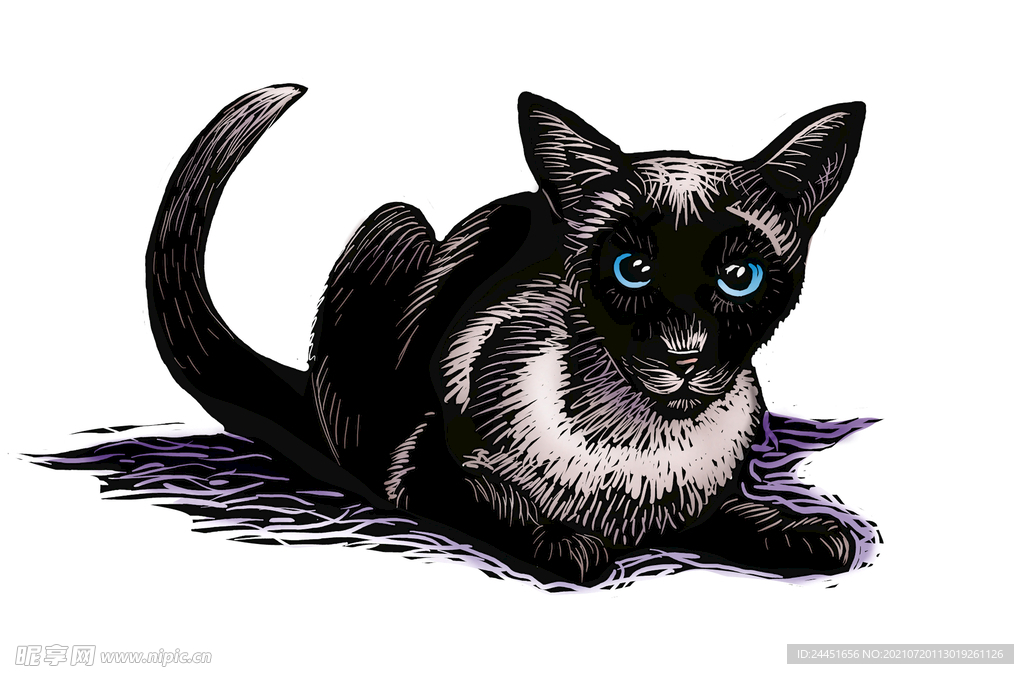 黑猫